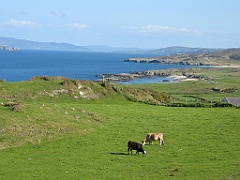 Irlande 085